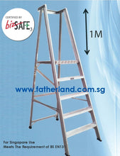 Load image into Gallery viewer, Heavy Duty Platform Ladder
