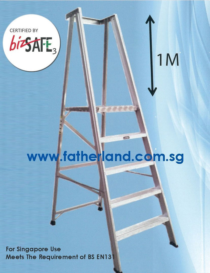 Heavy Duty Platform Ladder